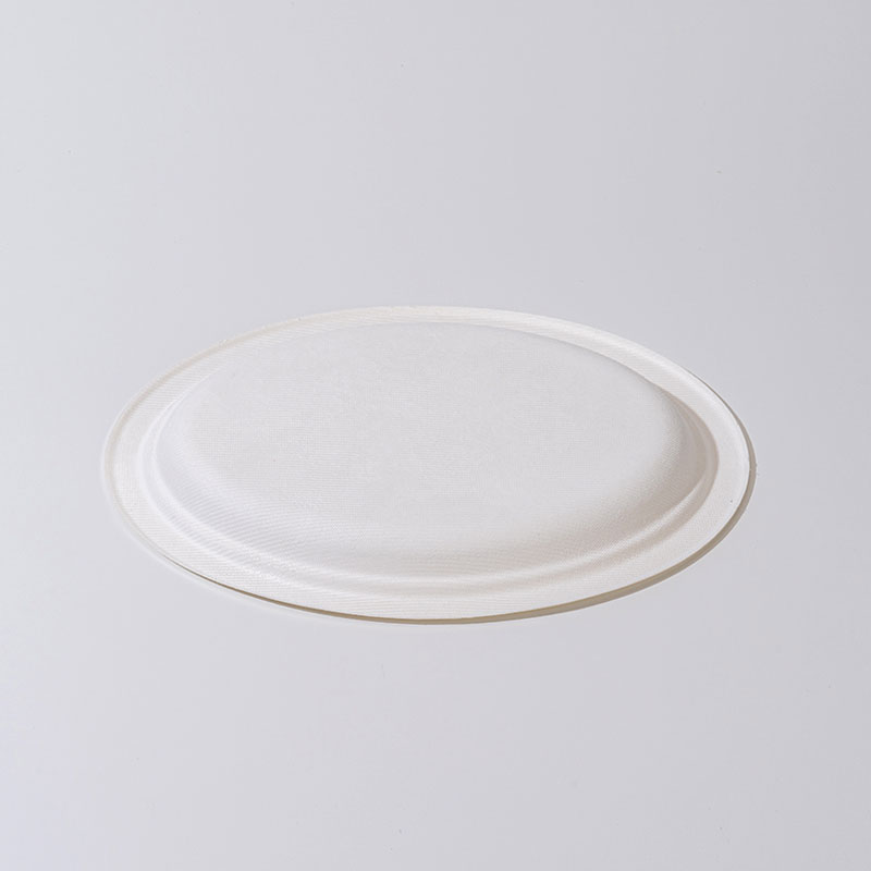 Sugarcane Pulp Plate Oval