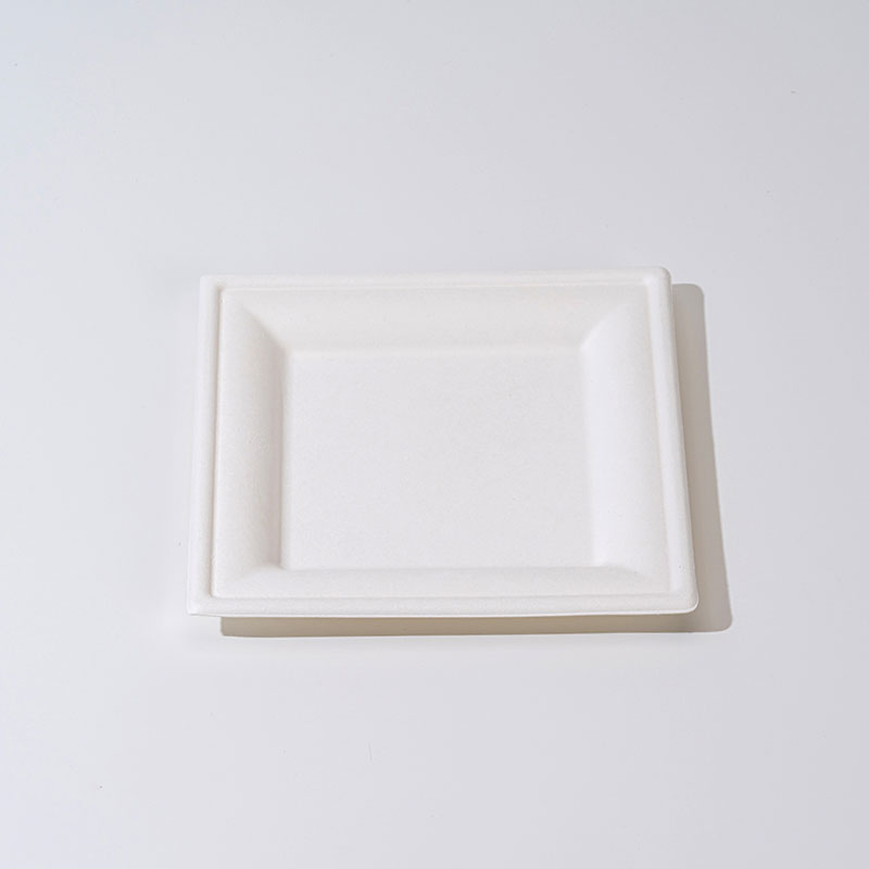 Tray Sumber Pulp Sugar